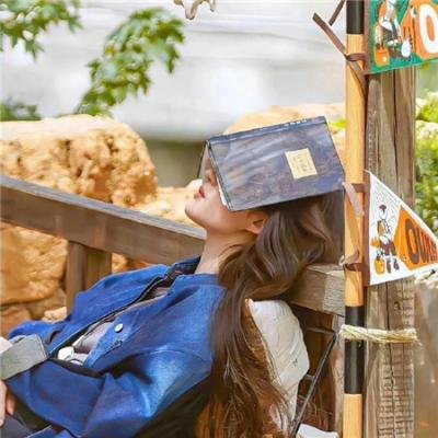 星蝶公主第三季